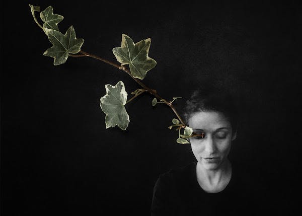 Untitled (series Eight Dark Dreams of Green Leaves)